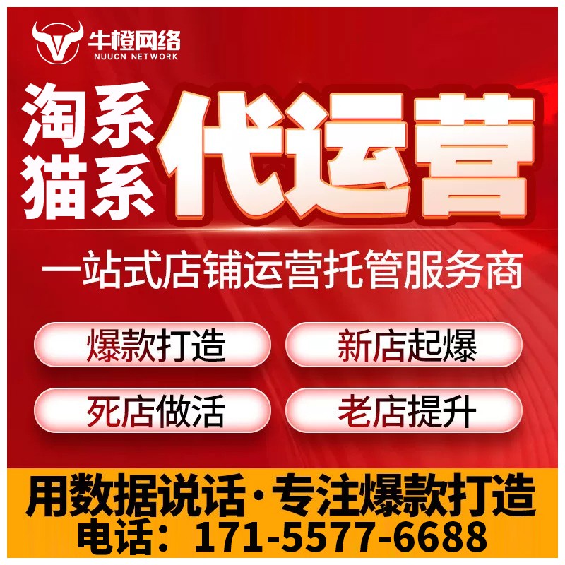 阜阳淘宝天猫代运营