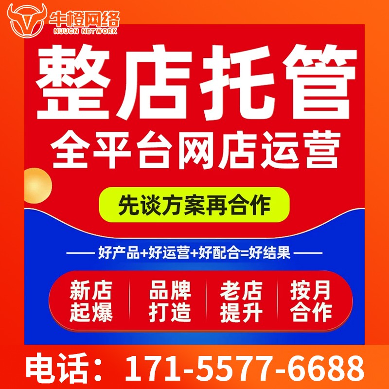 阜阳爱采购代运营