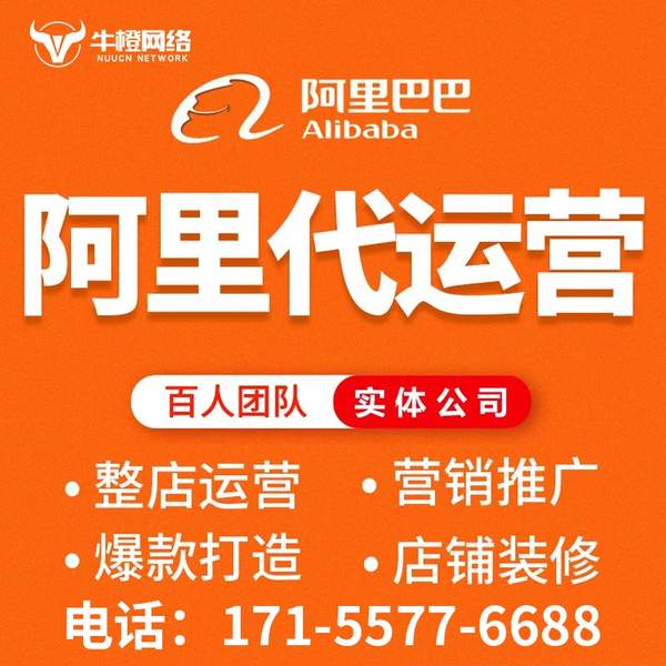 阜阳电商代运营