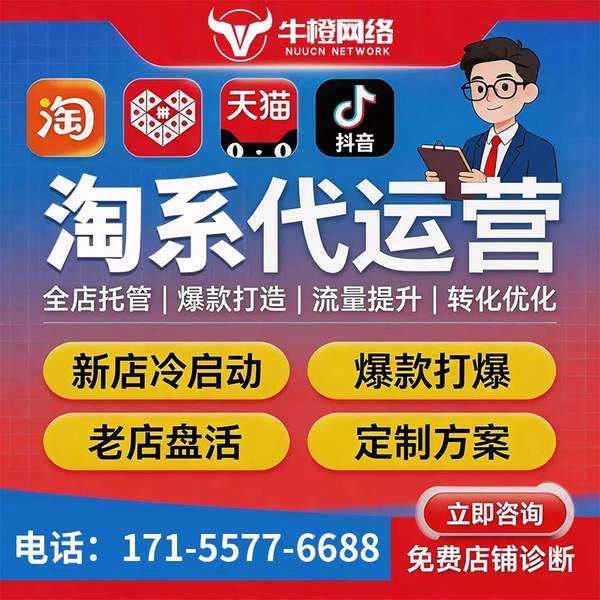 阜阳电商代运营