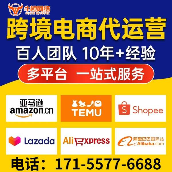 阜阳电商代运营