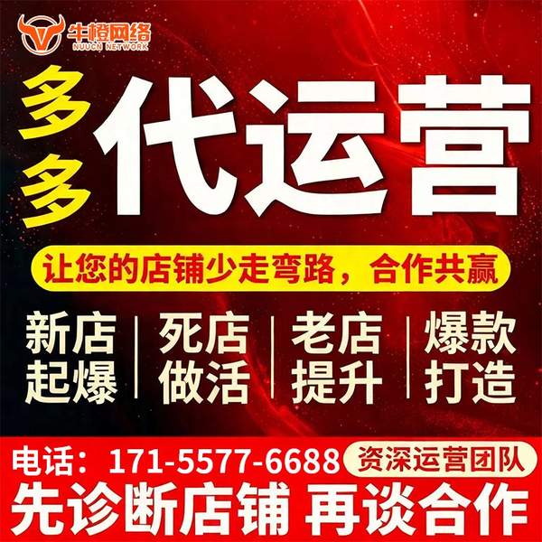 阜阳电商代运营