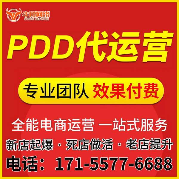 阜阳电商代运营