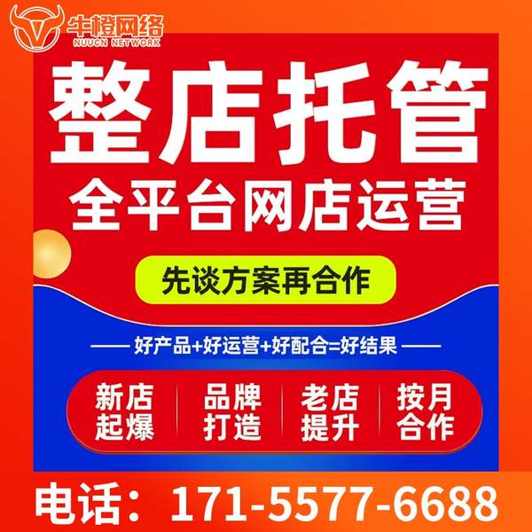 阜阳电商代运营