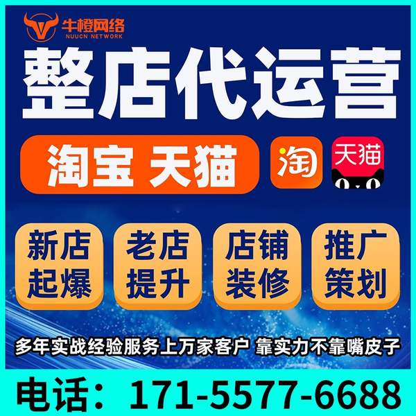 阜阳电商代运营