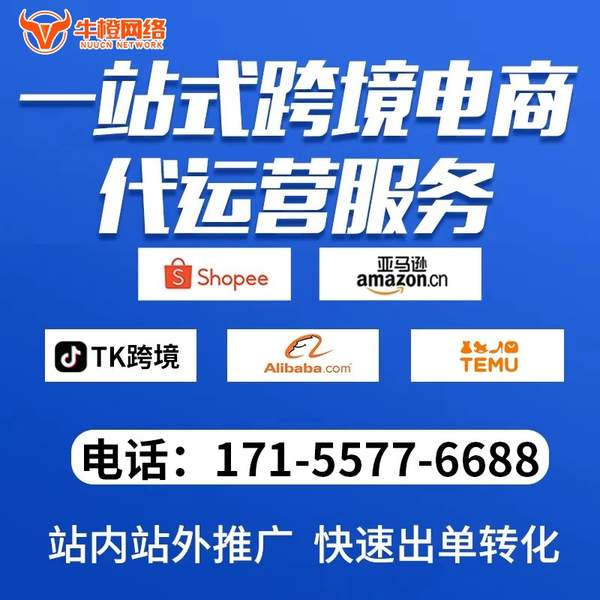 阜阳电商代运营