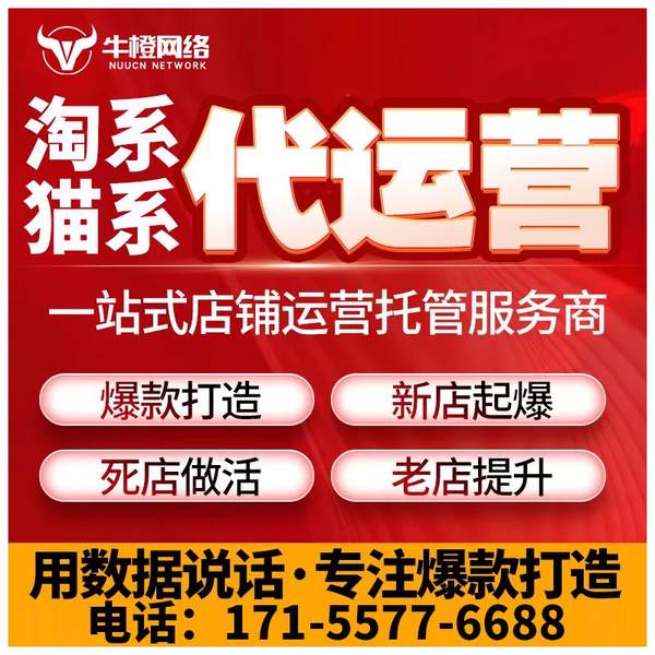 阜阳电商代运营